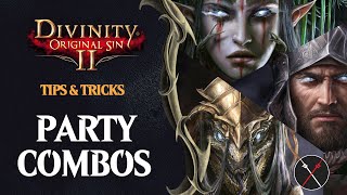 Divinity Original Sin 2 Party Combinations Guide Magic Physical And Mixed [upl. by Wehtta263]