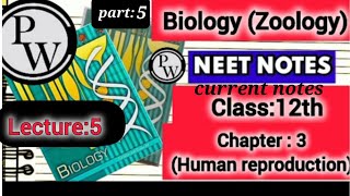 Class 12 Biology PW Class Notes 📝Zoology Chapter3Human reproductionLecture5 part 5video [upl. by Yssim]