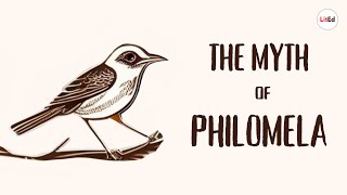 The Myth of Philomela  Ovids Metamorphoses [upl. by Dan]