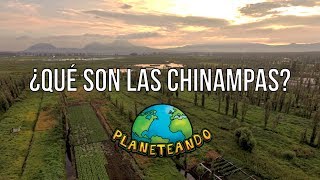 Chinampas de San Gregorio Atlapulco donde la tradición y la agricultura se unen [upl. by Corvin]