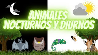 ANIMALES NOCTURNOS Y DIURNOS PARA NIÑOS DE PRIMARIA  🦉🐝 🦇EDUCACIÓN PARA NIÑOS👦 👧 [upl. by Diena]