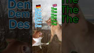 Deutsch vs Englisch [upl. by Miarhpe214]