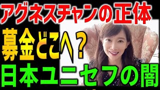 【海外の反応】「日本は募金を軽視している」善良な募金で私腹を肥やすあの組織とアグネスチャンを有名評論家が論破した状況【海外の反応】 [upl. by Ardnahsal]