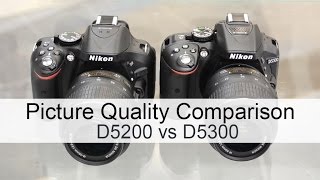 Nikon D5200 vs Nikon D5300 Picture Quality Comparison [upl. by Mandi]