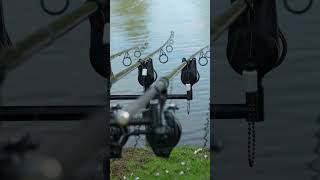 FISH ON 🎣 fishing carp anglingdirect bite [upl. by Adierf]