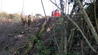 Treuil forestier artisannal en action de débardage de grume [upl. by Nodnar]