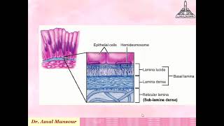 Histopathology Introduction 2 [upl. by Ahtinak]