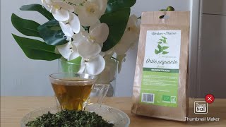 Infusion detox  reminéralisante à lOrtie ☕ [upl. by Enatan]