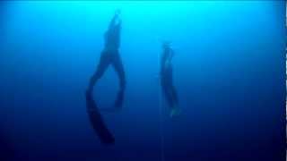 SUUNTO amp William Trubridge 101m CNF World Record FREEDIVE [upl. by Arracat]