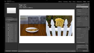 How to Create Diptychs in Lightroom Classic CC [upl. by Rosenfeld790]