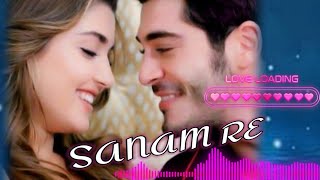 Sanam Re  female version  Hayat amp Murat  Sweet Songs🎵 [upl. by Panayiotis]