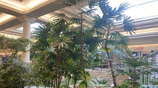 Indoor Palms at Market Mall Saskatoon [upl. by Greenebaum871]