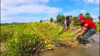 Activity With Work Remove Plants Clogged On Dam After Heavy Rainunclog remove clogged drain [upl. by Tihw]