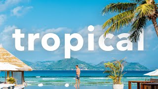 🐚 Chill Tropical Vlog No Copyright Sunny Travel Paradise Background Music  Secret Island by Aylex [upl. by Junia847]