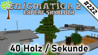 Super schnelle Baumfarm 🌳 Enigmatica 2 Expert Skyblock 222 [upl. by Suirrad303]