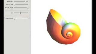 Model of Shell Growth [upl. by Carena]