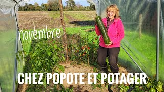 LA VIE AU POTAGER JUSTE AVANT LA TEMPÊTE [upl. by Eluj]