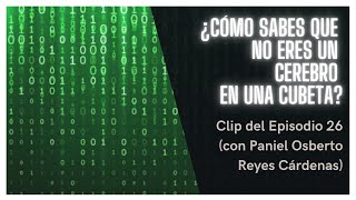 ¿Cómo sabes que no eres un cerebro en una cubeta [upl. by Alidis]