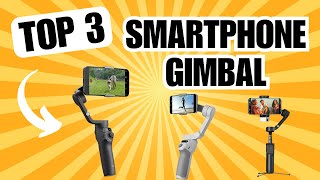 SMARTPHONE GIMBAL Beste Handy Stabilisator 2024 im Vergleich TOP 3 Gimbal Test [upl. by Litha]