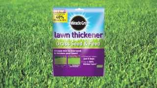 How To Repair A Patchy Lawn  Lawn Care Tips  Garden Ideas amp Tips  Homebase [upl. by Ailic]