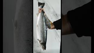 Fish 🐟 salomon video  shorts food 4k fish salomon [upl. by Nirat]