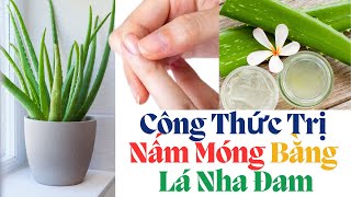 Loại Bỏ Nấm Móng NGAY LẬP TỨC Eliminates Nail Fungus IMMEDIATELY [upl. by Kezer693]