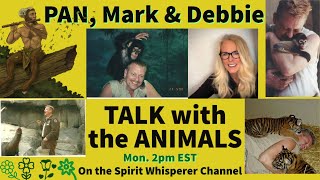 Join Mark amp Pan with Debbie Freebird Spirit Monday 112524 at 200 pm EST for Animal Readings [upl. by Savannah]