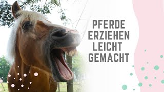 So erziehst du DEIN PFERD 🐴 ganz easy  Erziehen amp Trainieren im Alltag mit deinem Pferd ❤️ [upl. by Meir741]