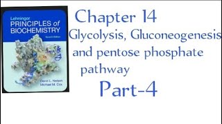 Payoff Phase of Glycolysis Chapter 14  part4 in Urdu Lehninger principles of biochemistry [upl. by Witherspoon]