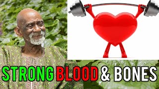 Dr Sebi  Herbs To Strengthen Bones And Blood [upl. by Gilson]