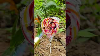 Bushcraft skills  candy lollipops bushcraft survival camping forest outdoors [upl. by Garfield953]