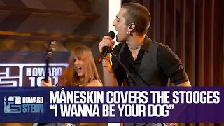 Måneskin Covers the Stooges’ “I Wanna Be Your Dog” Live for the Stern Show [upl. by Berardo]