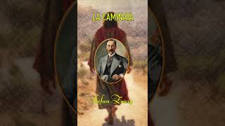 ❣️ LA CAMINATA ❣️ STEFAN ZWEIG audiolibro [upl. by Godderd]