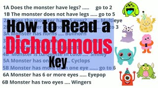 Dichotomous Key tutorial video [upl. by Malamut819]