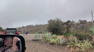 Driving past Domaine De La Roseraie in the morning fog Ouirgane Morocco20241017 [upl. by Aleahc]