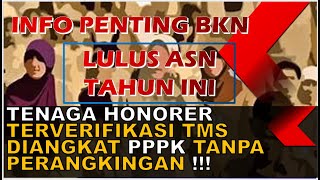 Kabar BKN Bagi Honorer Terverifikasi TMS Untuk Diangkat PPPK Tanpa Perengkingan [upl. by Razaele789]