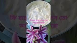 কি রান্না হচ্ছে বলেন তো আপুরা ভাইয়ারা 🌿🌿reels cooking [upl. by Ardnuas]