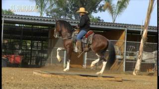 RANCHO NIEVES CABALLO IBERO [upl. by Sirrep434]