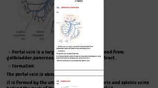 PORTAL VEIN ANATOMY IN TAMIL SHORTSanatomy  VIVA humananatomy [upl. by Gabriele]