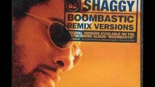 Shaggy  Boombastic Sting Remix [upl. by Kato]