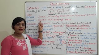 Class 25  Cytokinin  Introduction Function amp Application Types of Plant Hormone Part 02 [upl. by Eelan]