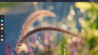 Checking out Solus GNOME 201704180 [upl. by Onairotciv855]