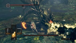 Black Dragon Kalameet Boss Fight  Dark Souls Remastered PS5 [upl. by Hteb]