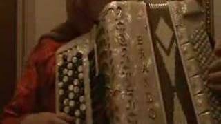 Traditional Swedish accordeon music [upl. by Birgit829]