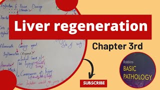 Liver RegenerationSummary of repair by regenerationRobbins PathologyPathomaPathology lectures [upl. by Anaeco998]