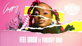 Cuppy  Feel Good ft Fireboy DML Official Audio [upl. by Boccaj327]