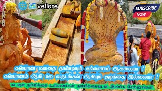 Varaagi Amman from Vellore district pallikonda good place God bless trending viralvideo vlog [upl. by Ibib]