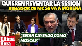 ESTÁN CAYENDO COMO MOSCAS Quieren reventar la sesión [upl. by Ymorej776]