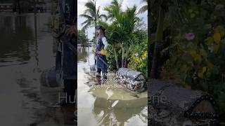 Hurricane Helene Storm Surge on Fort Myers Beach Florida hurricanehelene [upl. by Irtak]