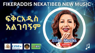 Fikeraddis Nekatibeb Algebagnim Ene New Ethiopian Music 2022  ፍቅርአዲስ ነቃጥበብ አልገባኝም ምርጥ ሙዚቃ [upl. by Dickinson]